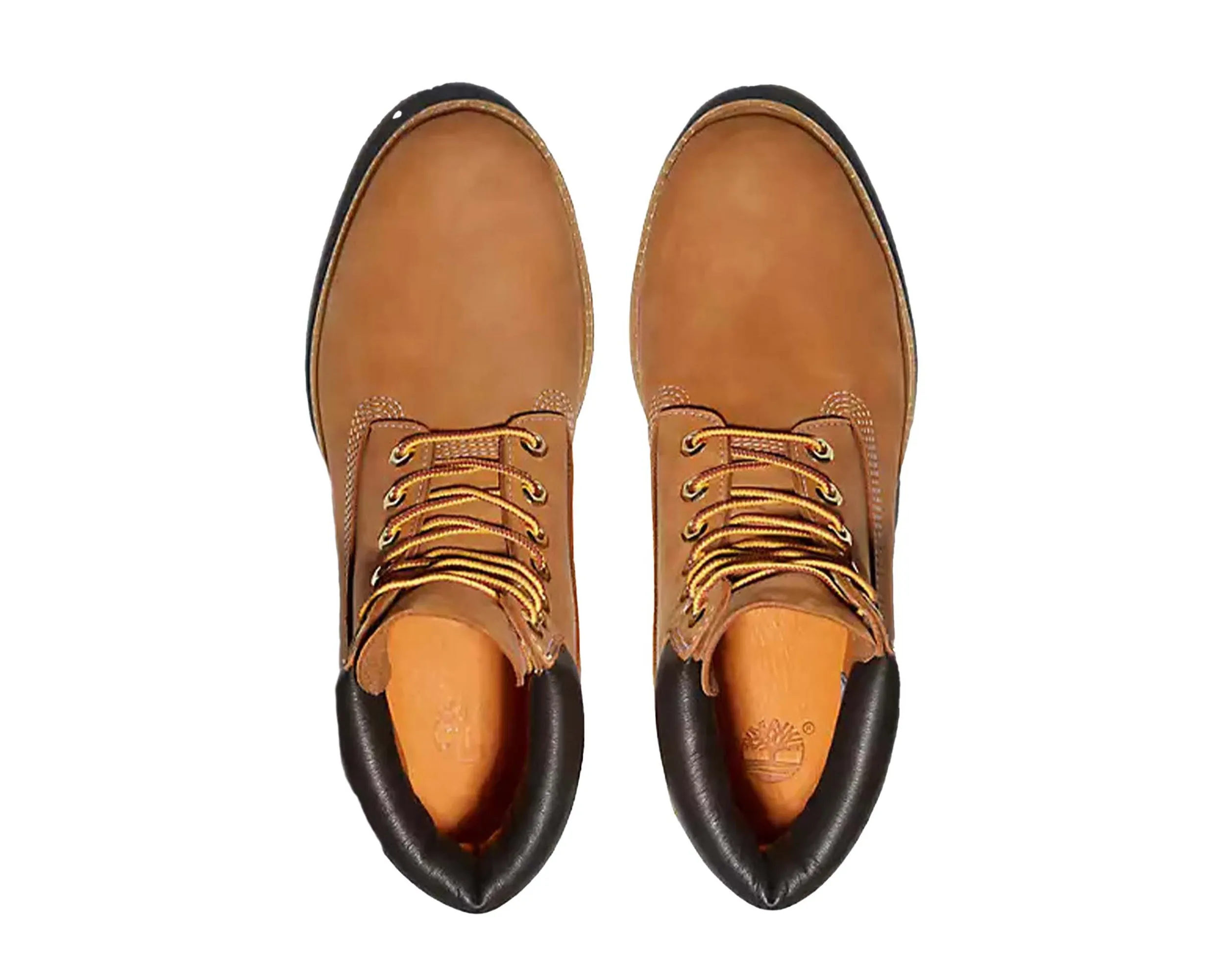 Men`s Timberland® Premium 6-Inch WP Boot